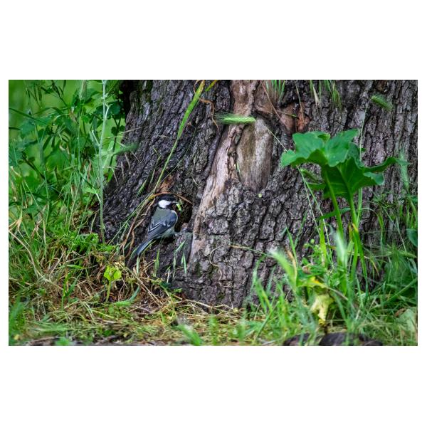 PHOTO84, CLUB, 84 , LUBERON